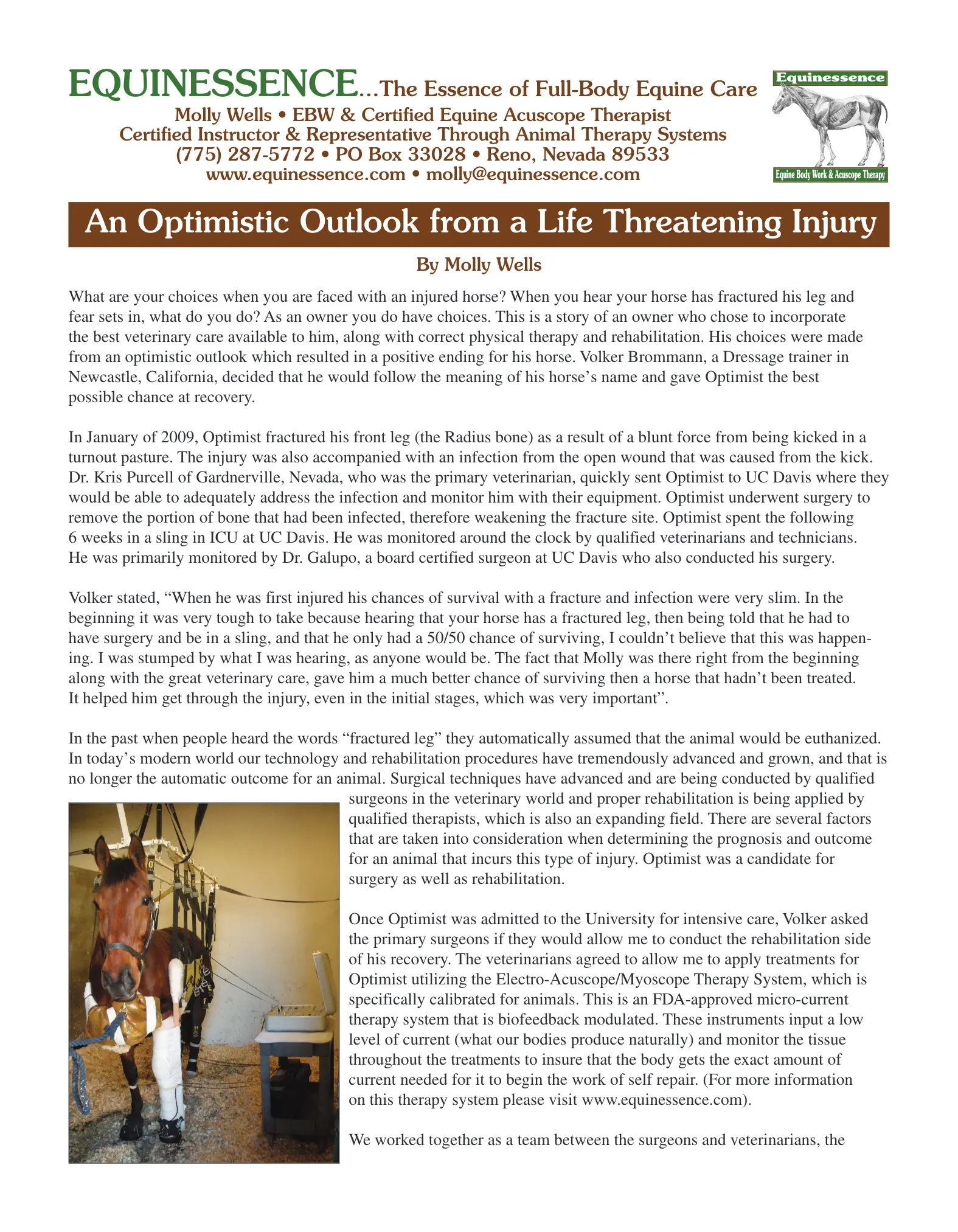 PDF preview